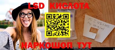 молекула духа Будённовск