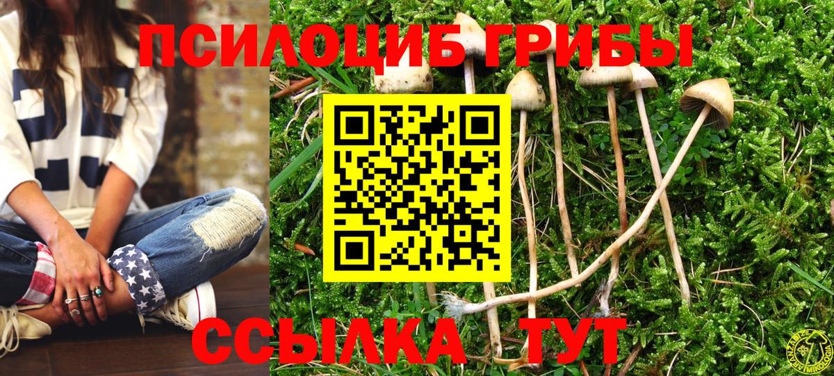 Псилоцибиновые грибы MAGIC MUSHROOMS Сатка